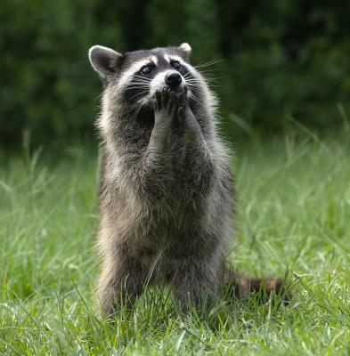 Прикрепленное изображение: scale_1200 (2).jpg